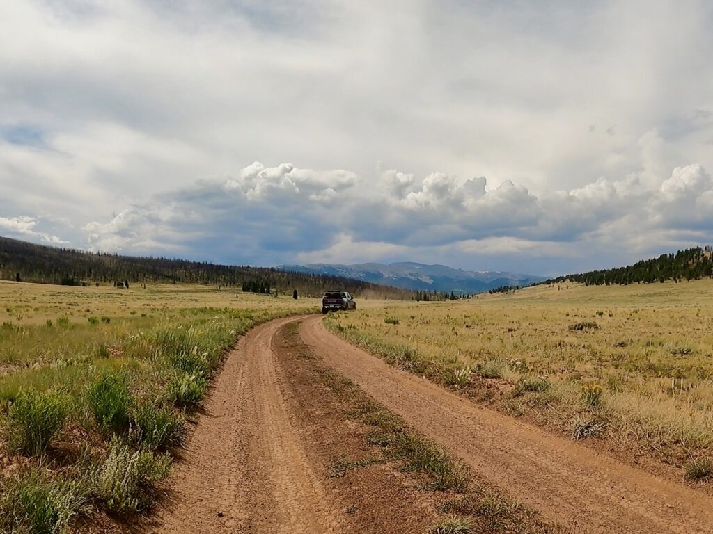 Rolling through the Pike National Forest..