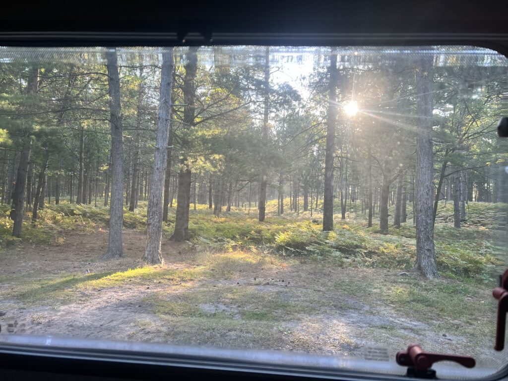 Sunlight streaming through the trees at a forest campsite in Michigan.